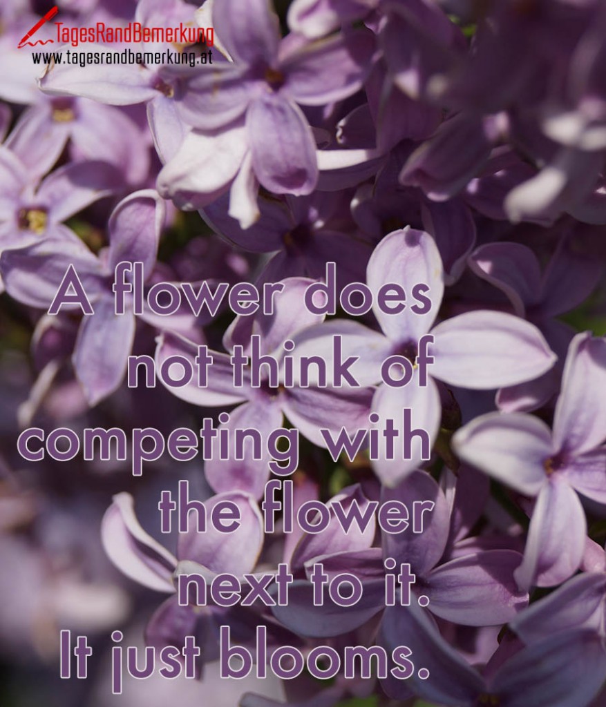 A flower does not think of competing with the flower next to it. It just blooms.