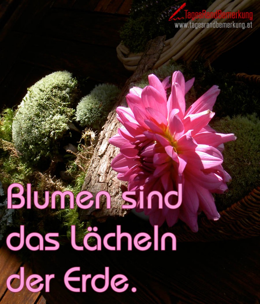 Blumen sind das Lächeln der Erde.