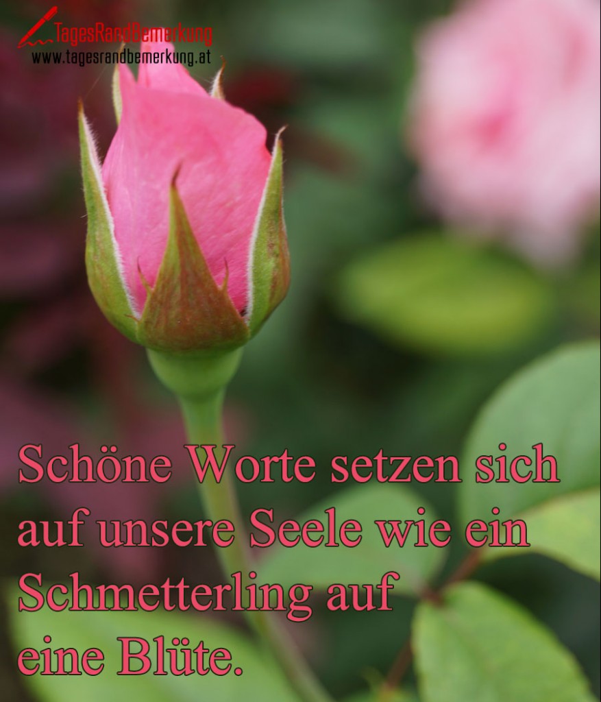 Schöne Worte setzen sich auf unsere Seele wie ein Schmetterling auf eine Blüte.