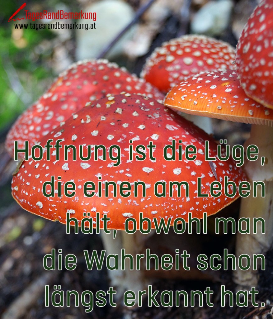 Hoffnung ist die Lüge, die einen am Leben hält, obwohl man die Wahrheit schon längst erkannt hat.