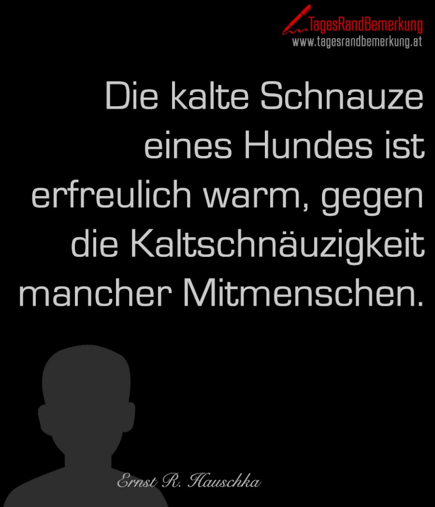 Die kalte Schnauze eines Hundes ist erfreulich warm, gegen die Kaltschnäuzigkeit mancher Mitmenschen