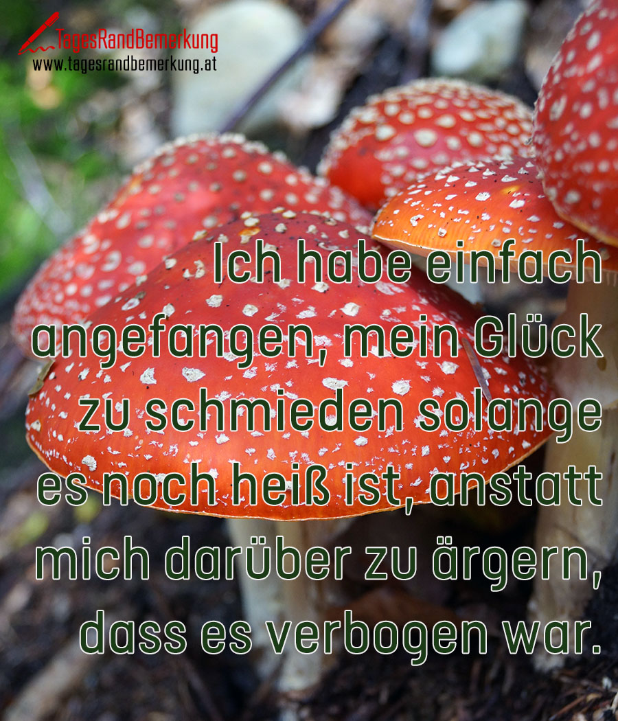 Ich habe einfach angefangen, mein Glück zu schmieden solange es noch heiß ist, anstatt mich darüber zu ärgern, dass es verbogen war.