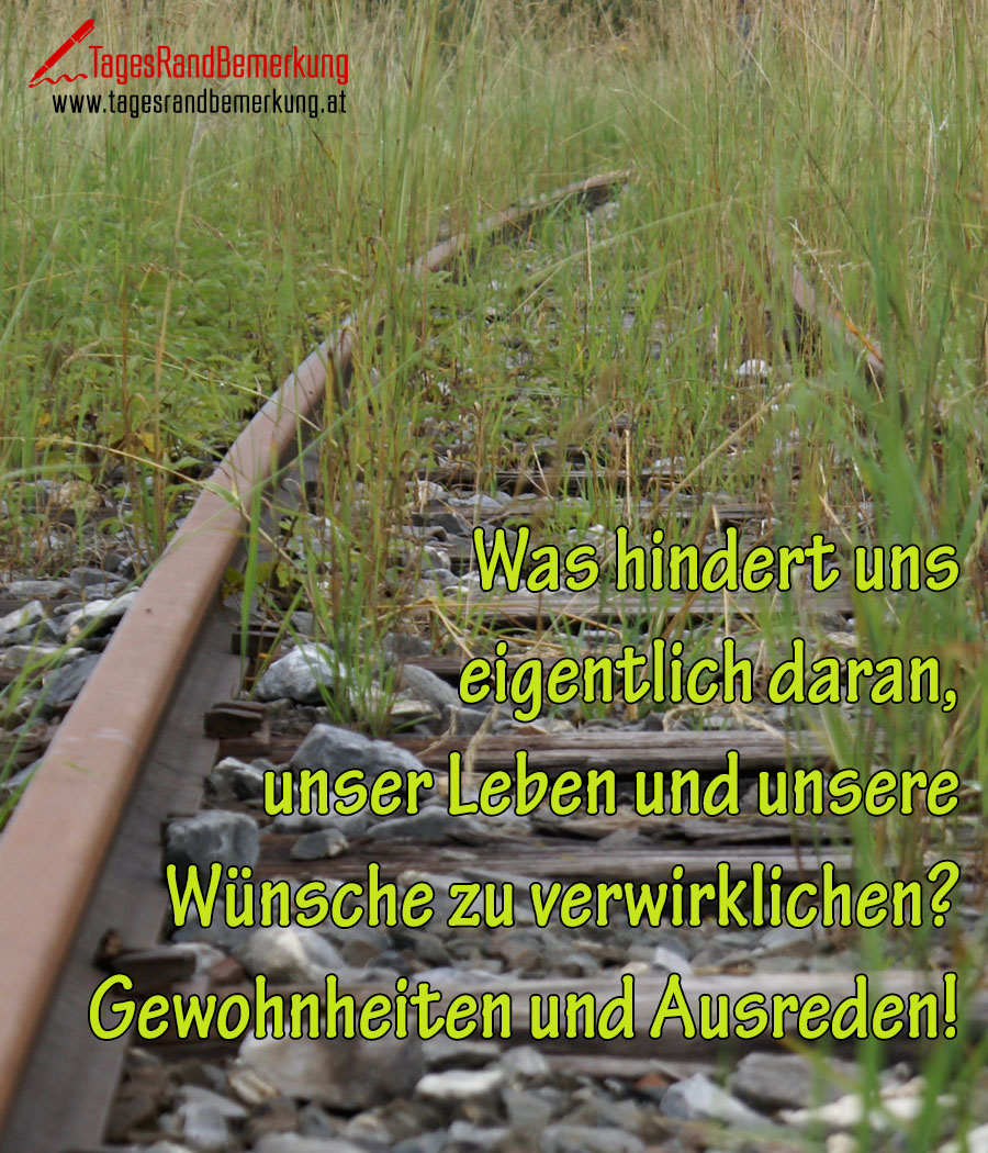 Was hindert uns eigentlich daran, unser Leben und unsere Wünsche zu verwirklichen? Gewohnheiten und Ausreden!