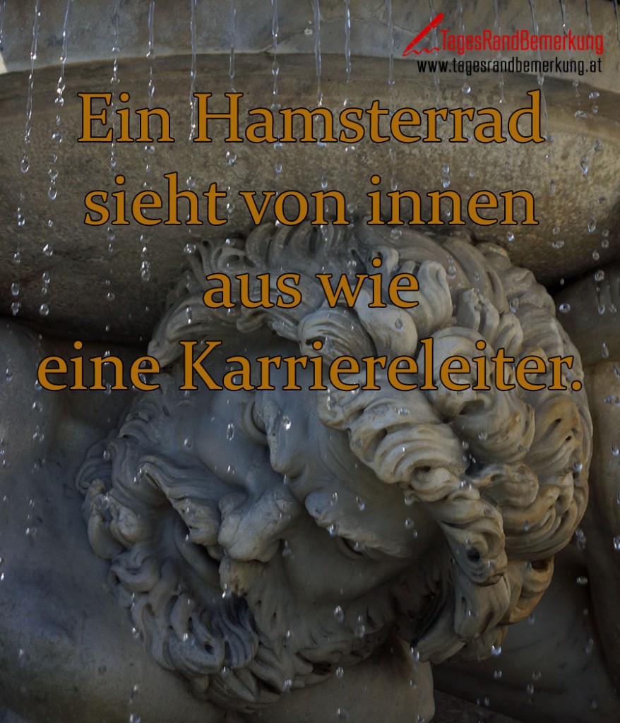 Ein Hamsterrad sieht von innen aus wie eine Karriereleiter. Zitat von