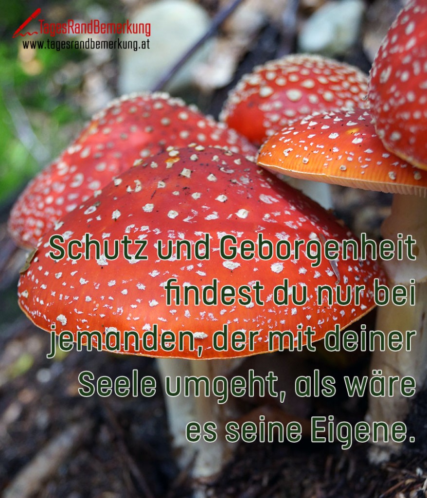 Schutz und findest du nur bei jemanden, der mit deiner