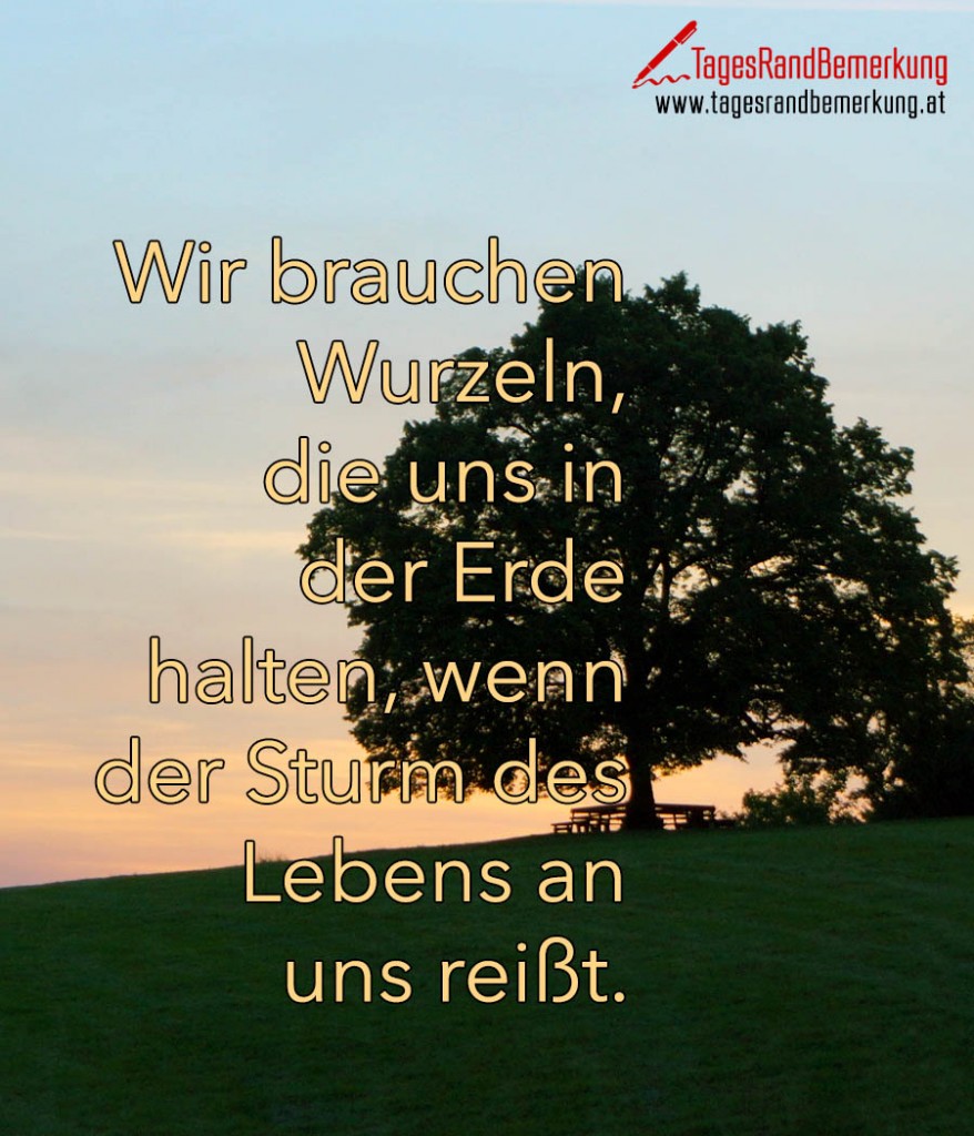 Wir brauchen Wurzeln, die uns in der Erde halten, wenn der Sturm des
