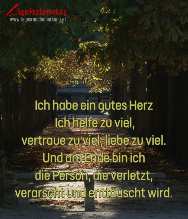 Ich habe ein gutes Herz. Ich helfe zu viel, vertraue zu viel, liebe zu