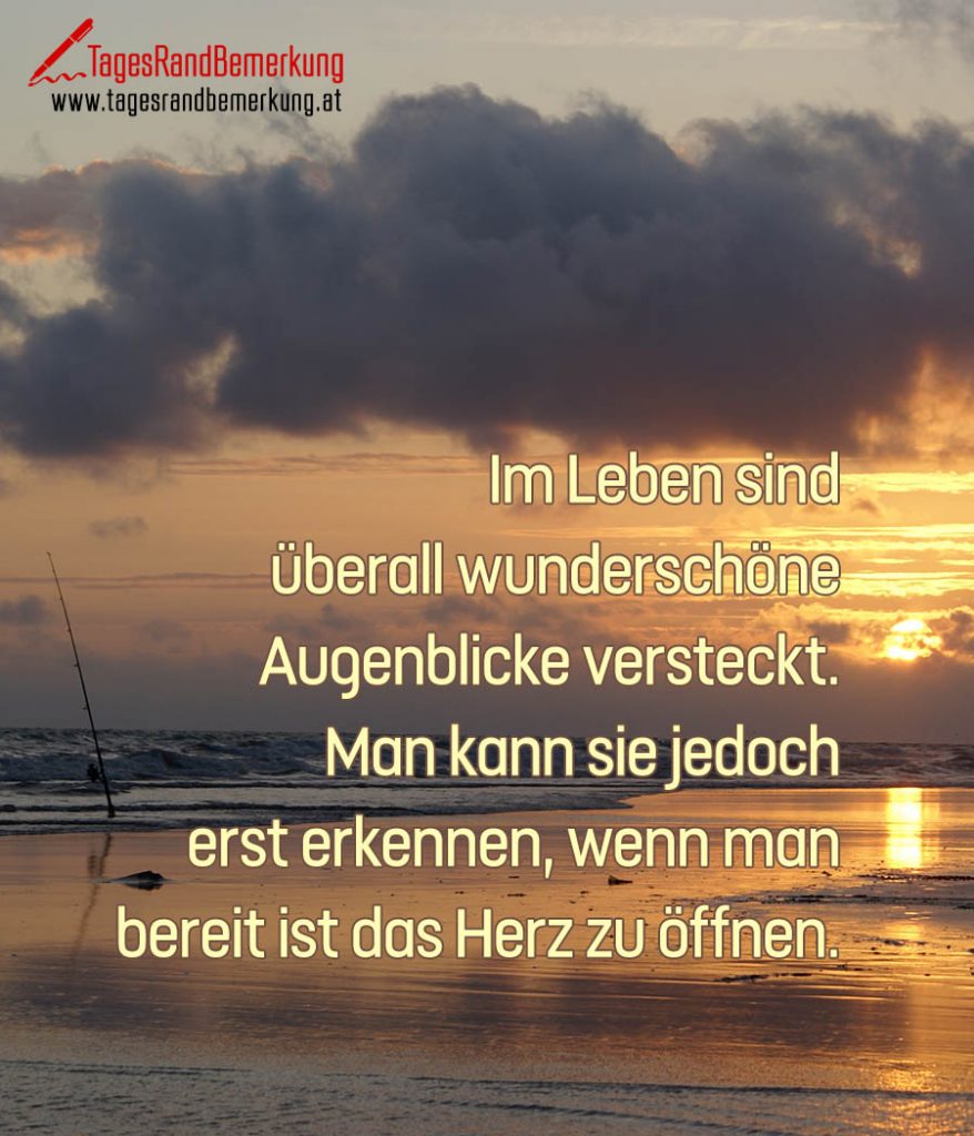 Im Leben sind überall wunderschöne Augenblicke versteckt. Man kann sie