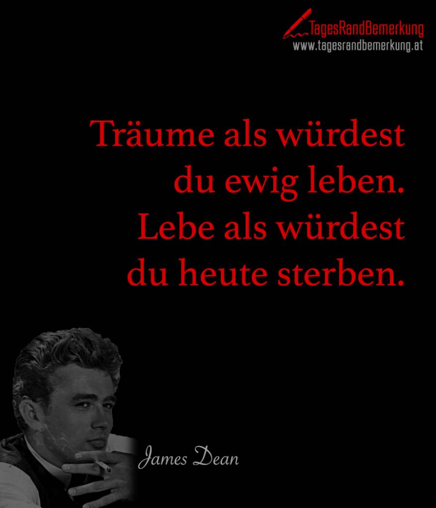 Am Ende Sterben Wir Sowieso Zitate