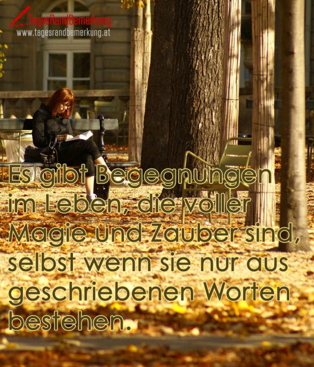 Es gibt Begegnungen im Leben, die voller Magie und Zauber sind, selbst
