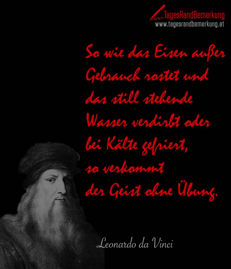 Zitate mit dem Schlagwort Leonardo da Vinci der Die TagesRandBemerkung