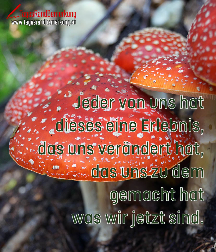 Zitate In Der Kategorie Charakter Der Die Tagesrandbemerkung