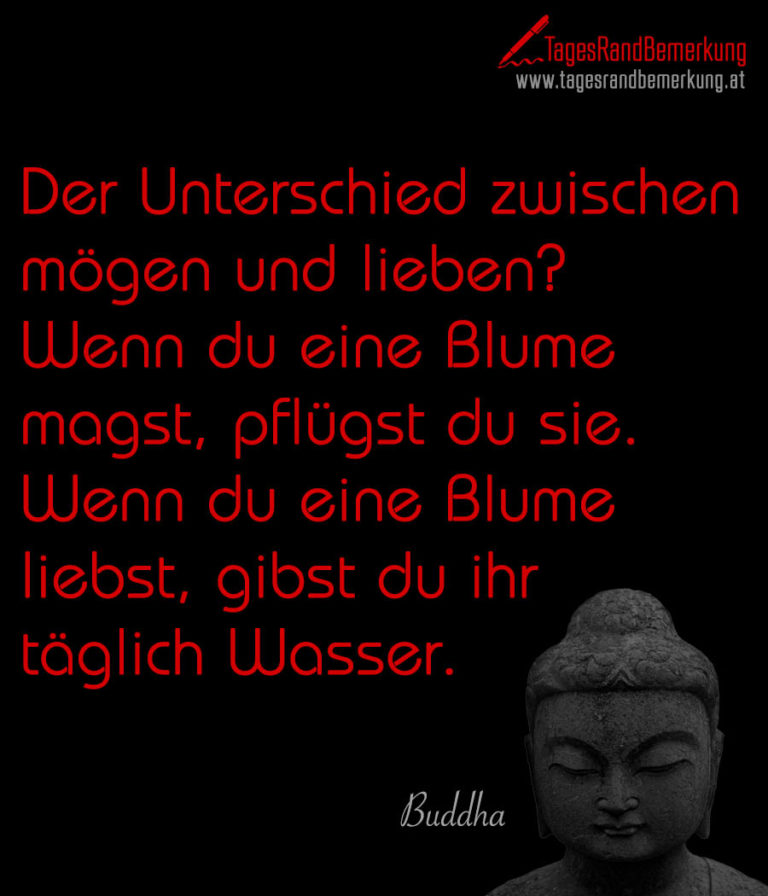 Der Unterschied zwischen mögen und lieben? Wenn du eine Blume magst