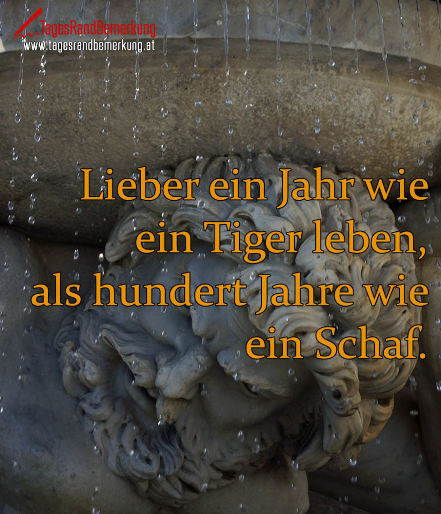 Lieber ein Jahr wie ein Tiger leben, als hundert Jahre wie ein Schaf