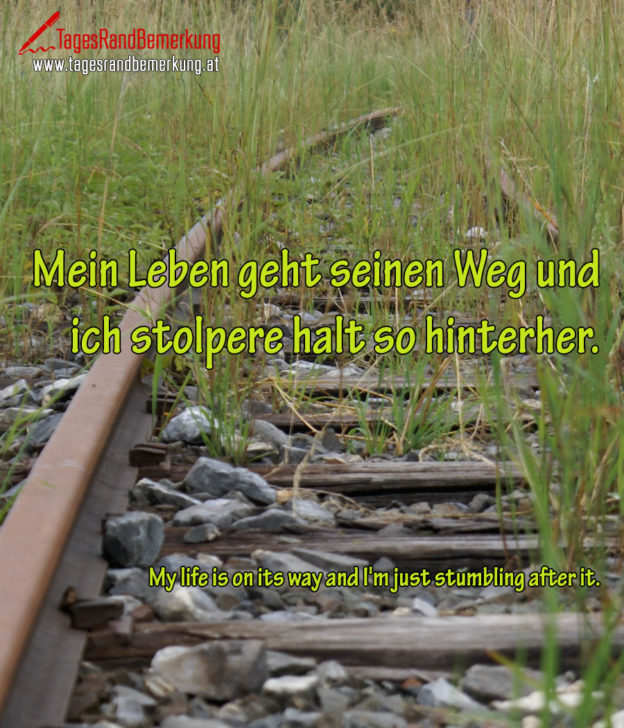 Mein Leben geht seinen Weg und ich stolpere halt so hinterher. Zitat