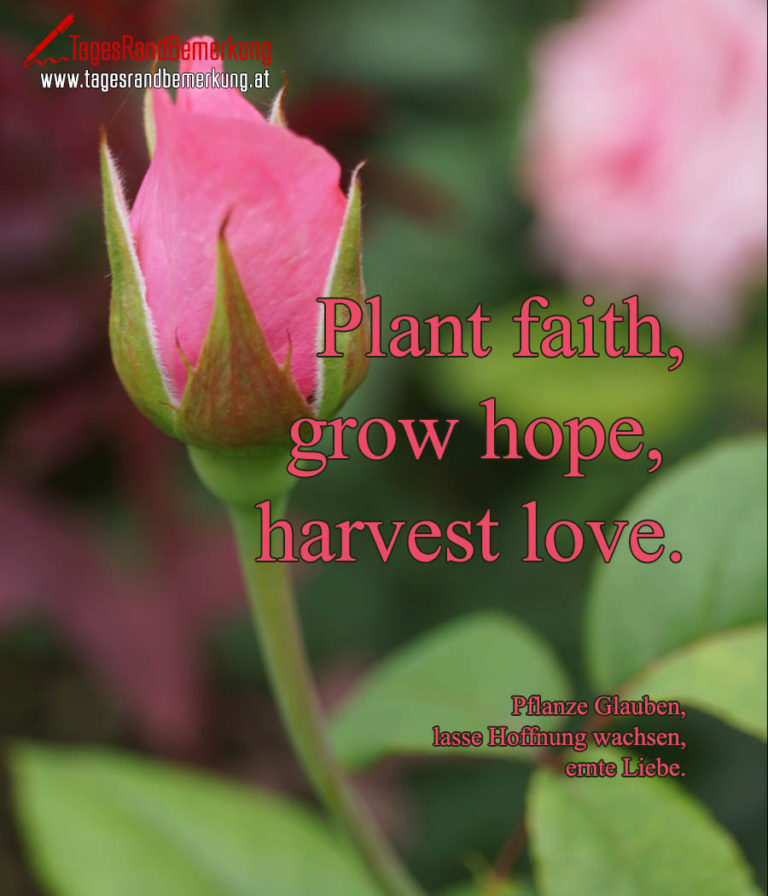 Plant faith, grow hope, harvest love. Zitat von Die TagesRandBemerkung