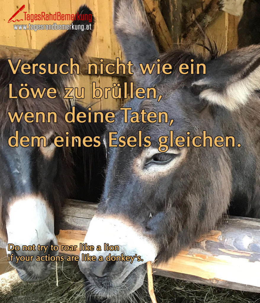 Versuch nicht wie ein Löwe zu brüllen, wenn deine Taten, dem eines