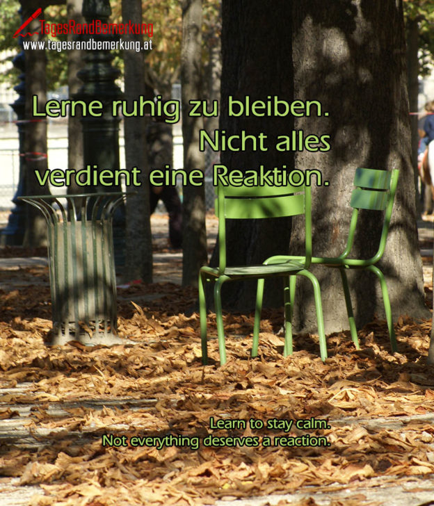 Lerne Ruhig Zu Bleiben Nicht Alles Verdient Eine Reaktion Lerne ruhig zu bleiben. Nicht alles verdient eine Reaktion. - Zitat von